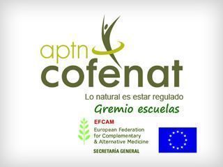 El Centre i escola Mompó forma parte del gremio de escuelas de Cofenat