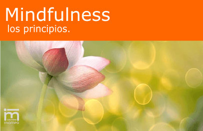 Los principios del Mindfulness