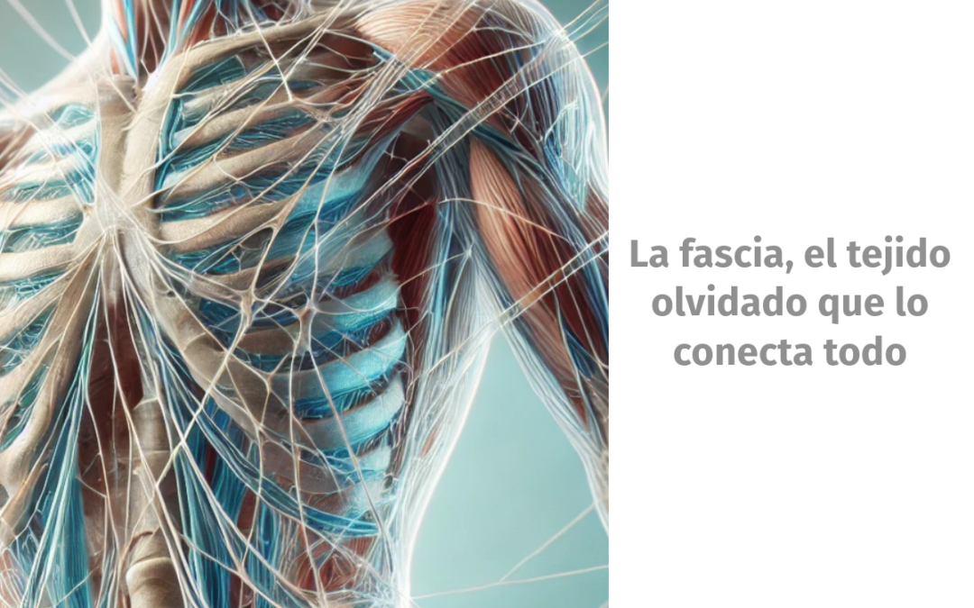 La fascia, el tejido olvidado que lo conecta todo