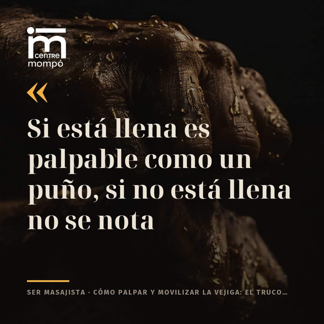 Si está llena es palpable como un puño, si no está llena no se nota